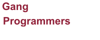 SuperPro Gang Programmers
